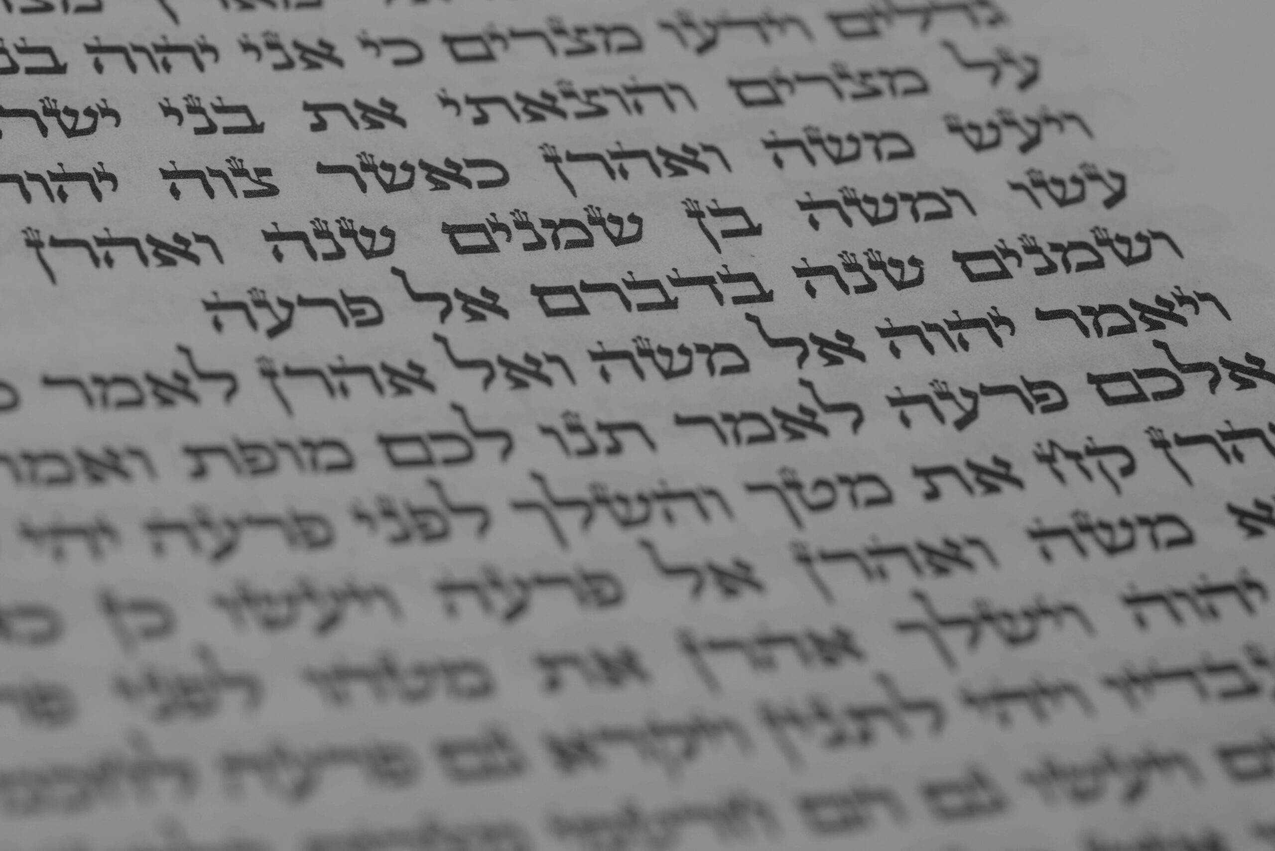 Exploring the Rich History of Palestine
