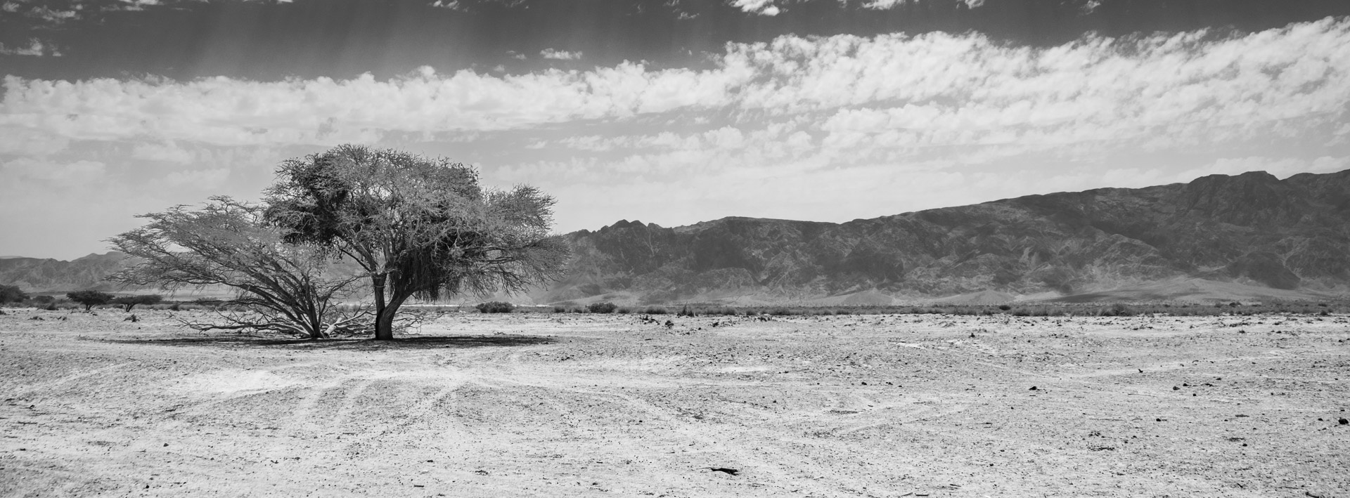 The Birth of Edom: Through the Lens of History and Archaeology